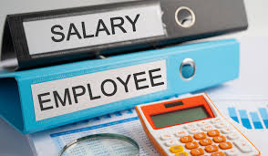 Legal Support for Job Disputes, Salary Issues and Wrongful Termination